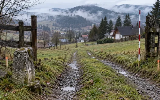 Nespevnená prístupová cesta a geodetické vytýčenie hraníc pozemku